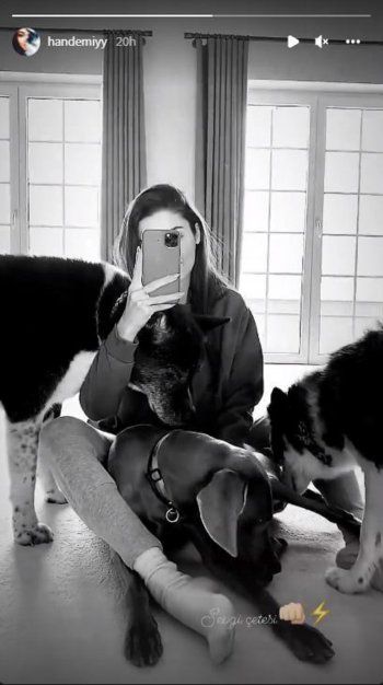شاهد .. هاندا أرتشيل بفيديو عفوي مع كلابها.. شاهدوا ما فعلوه