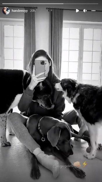 شاهد .. هاندا أرتشيل بفيديو عفوي مع كلابها.. شاهدوا ما فعلوه