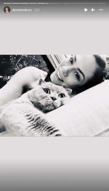 شاهد .. ديميت أوزديمير بصورة عفوية مع قطتها.. والجمهور يتفاعل