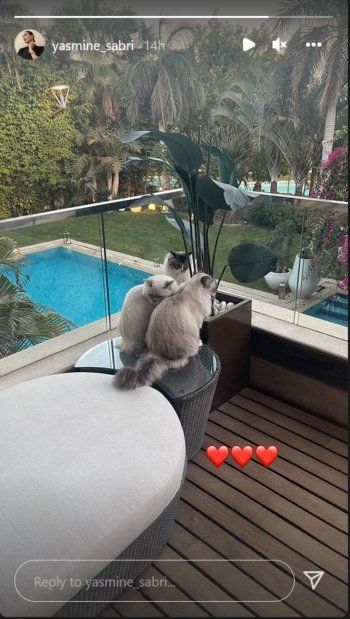 شاهد .. شاهدوا حديقة فيلا ياسمين صبري وأحمد أبو هشيمة الكبيرة.. فيها حوضان للسباحة!! -بالصورة