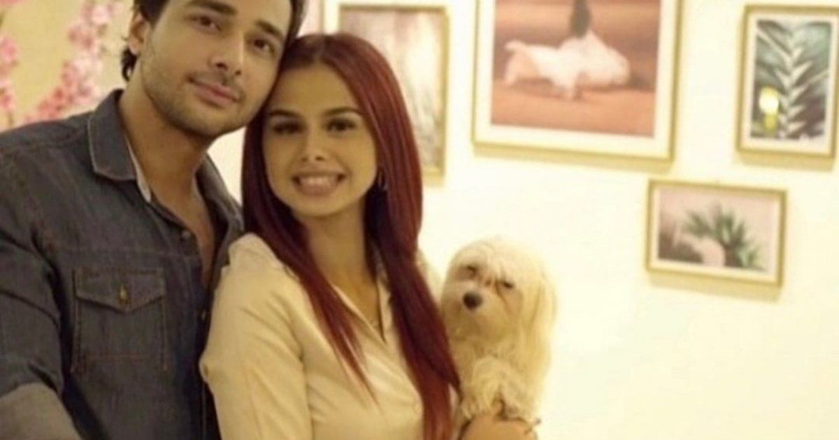 شاهد .. أشرف زكي يضرب من جديد وقرار صادم بحق محمود المهدي زوج منة عرفة