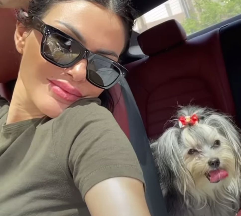 دارين حداد تتألق برفقة كلبها من داخل سيارتها- فيديو