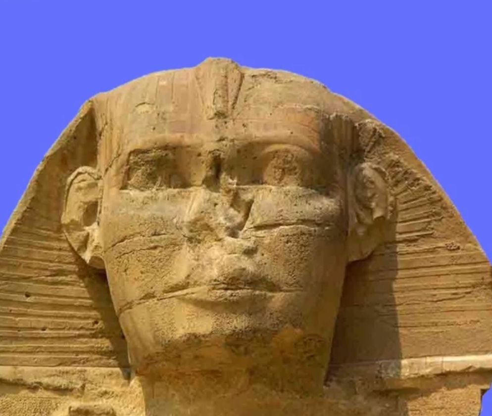 ابو الهول يدخل تحدي الحركة دي لـ أحمد حلمي- فيديو