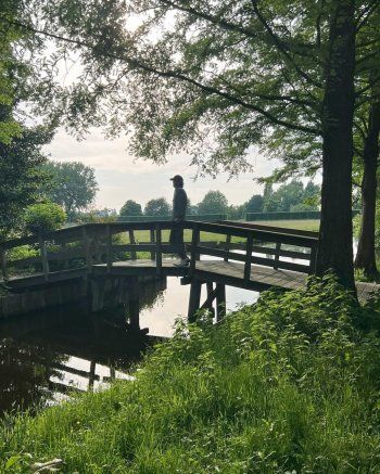 شاهد .. بالصور - ميك جاغر يستمتع بالمشاهد في هولندا إستعداداً لجولته الاوروبية