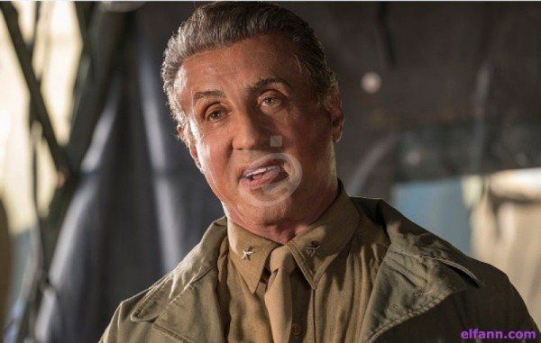 شاهد .. بالفيديو - هذا ما دفع قطة سيلفستر ستالون الى تقبيله