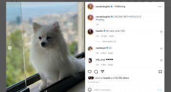 شاهد .. بالصورة - نوال الزغبي تستمتع بيومها مع كلبها وتظهر بدون ماكياج