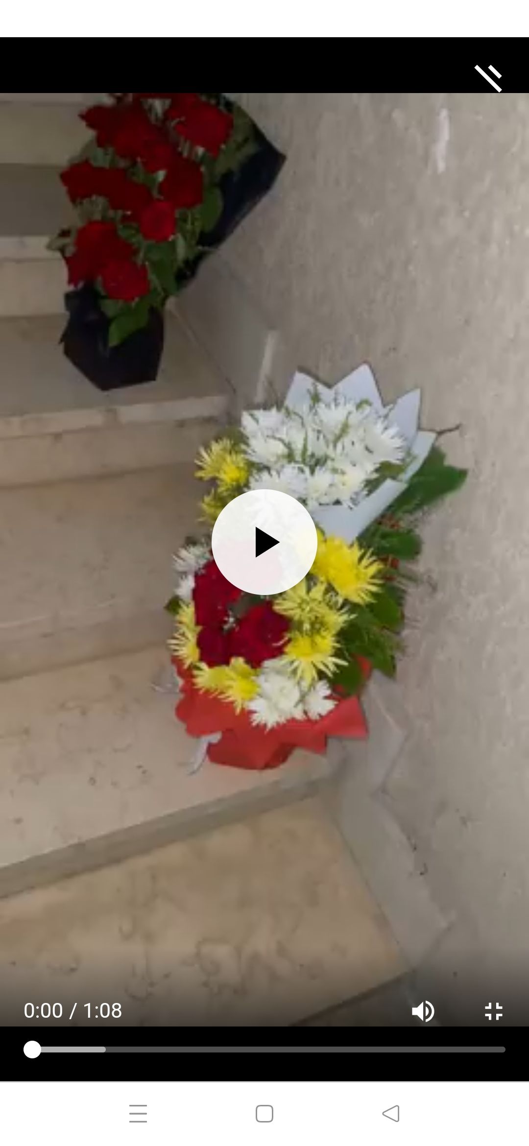 سعد الصغير يصالح زوجته برلنتي عامر : بـ15 بوكيه ورد