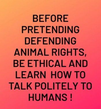 شاهد .. كارول سماحة توجه رسالة قاسية إلى من هاجموها بعد قصة الشبل-بالصورة