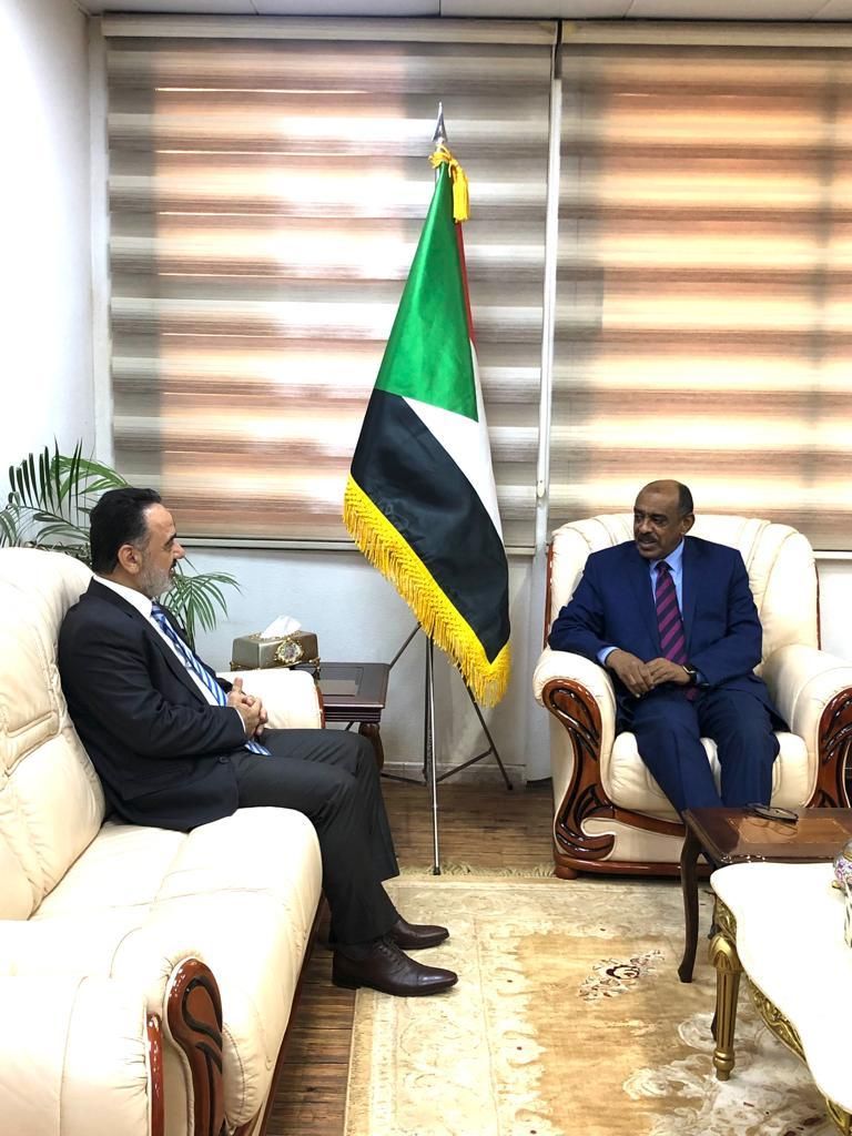 وزير الخارجية المكلف يستقبل السفير التركى