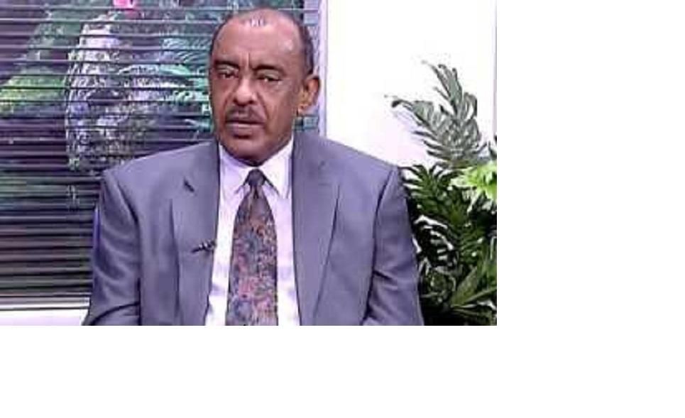 وزير الخارجية يشارك بمؤتمر الحوار الشامل في تشاد