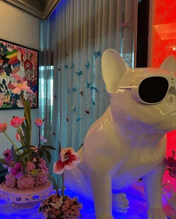 شاهد .. بالصور والفيديو- أدخلوا معنا الى منزل هيفا وهبي الفخم والعصري .. تمتلك غرفة للأحذية والحقائق!