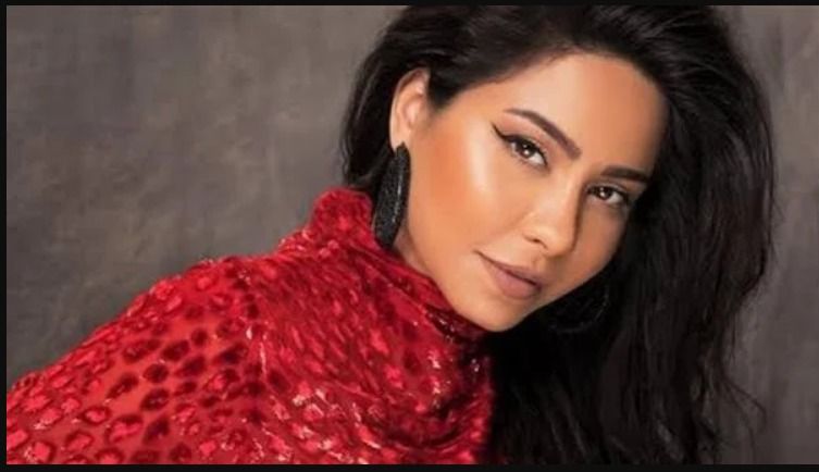 مترو شيرين عبد الوهاب دخل في حيطة سد : محققش أي نجاح