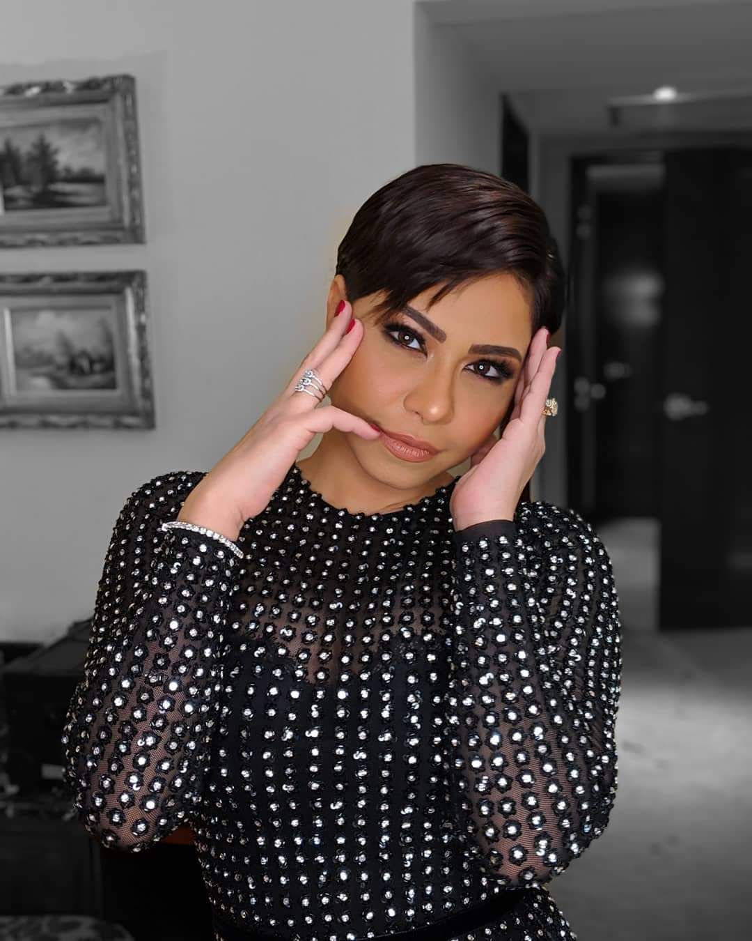 محامي شيرين عبدالوهاب :” سأتخذ اليوم إجراء ضد حسام حبيب”