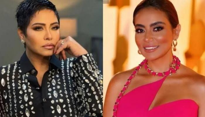 ابعدي يا شيرين عن سارة الطباخ : هتقعدك في البيت