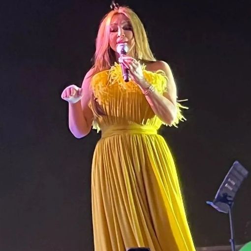 إليسا اشترت فستان من عشة فراخ بالدولار – شاهد