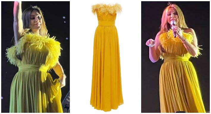 إليسا اشترت فستان من عشة فراخ بالدولار – شاهد