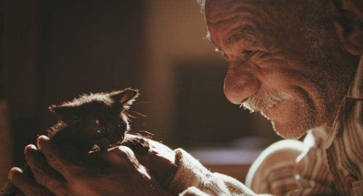 الليلة خلصت واتلمت : تعرف علي جميع جوائر مهرجان القاهرة السينمائي