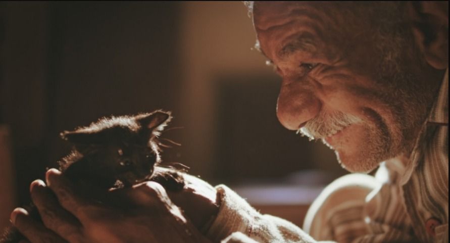 لأول مرة عالميا .. “19 ب” يحصد جائزة أفضل فيلم عربي