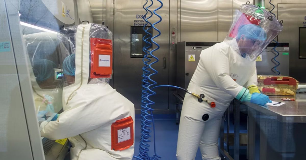 شاهد .. عالم أميريكي:" "كورونا" تم تحضيره في مختبر "ووهان" الصيني بتمويل أمريكي"