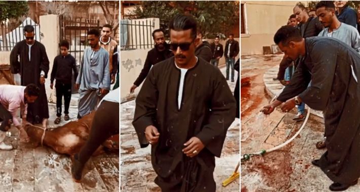 محمد رمضان يذبح عجلا احتفالا بمسلسل “العمدة”
