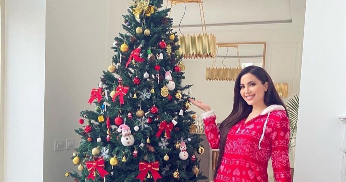 شاهد .. نسرين طافش تحتفل بعيد الميلاد برفقة نيكول سعفان وطارق العريان- بالصور