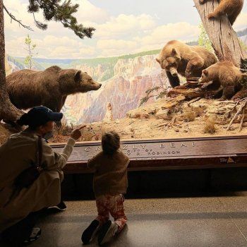 شاهد .. بيلا حديد بتغيير جذري بشكلها الخارجي.. وهل تقلد شقيقتها جيجي؟