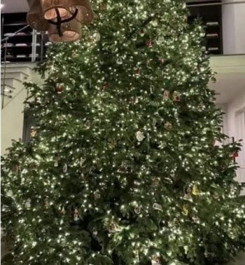 شاهد .. صور أشجار النجوم لعيد الميلاد ستذهلكم... كيم كارداشيان وضعت 8 وشجرة بريتني سبيرز الأجمل!