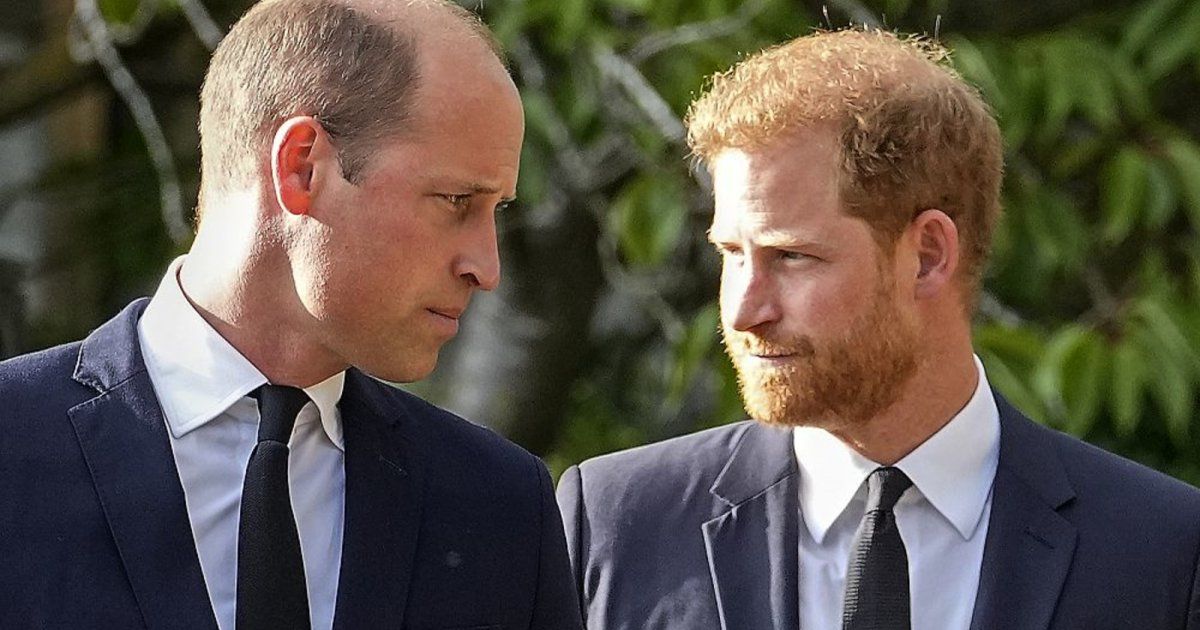 شاهد .. الأمير ويليام يعتدي على الأمير هاري بالضرب لهذا السبب