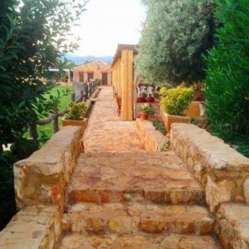 شاهد .. جولة في قصر عاصي الحلاني في البقاع.. يمتلك مزرعة خيول وحديقة كبيرة -بالصور والفيديو