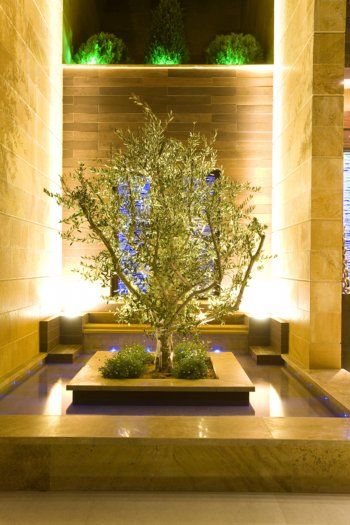 شاهد .. جولة في قصر أحلام... فخامة وديكور رائع - بالصور