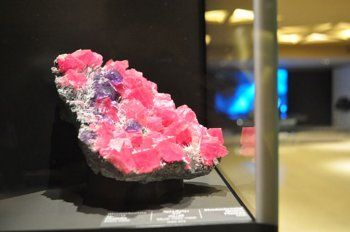 شاهد .. خاص- متحف "ميم" في بيروت يضم واحدة من أهم مجموعات المتحجرات والمعادن والأحجار الكريمة في العالم.. هذه أسماؤها وأسرارها