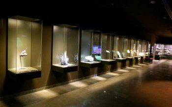 شاهد .. خاص- متحف "ميم" في بيروت يضم واحدة من أهم مجموعات المتحجرات والمعادن والأحجار الكريمة في العالم.. هذه أسماؤها وأسرارها