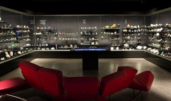 شاهد .. خاص- متحف "ميم" في بيروت يضم واحدة من أهم مجموعات المتحجرات والمعادن والأحجار الكريمة في العالم.. هذه أسماؤها وأسرارها