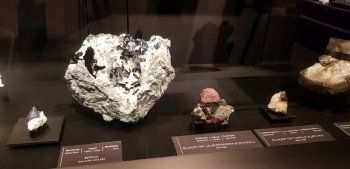 شاهد .. خاص- متحف روبير معوض يضم مجوهرات وتحفاً وكتباً وأسلحة نادرة وكانت تملكه هذه الشخصية