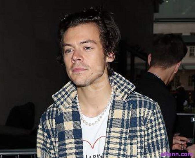 شاهد .. هاري ستايلز يتعرض لموقف محرج على المسرح