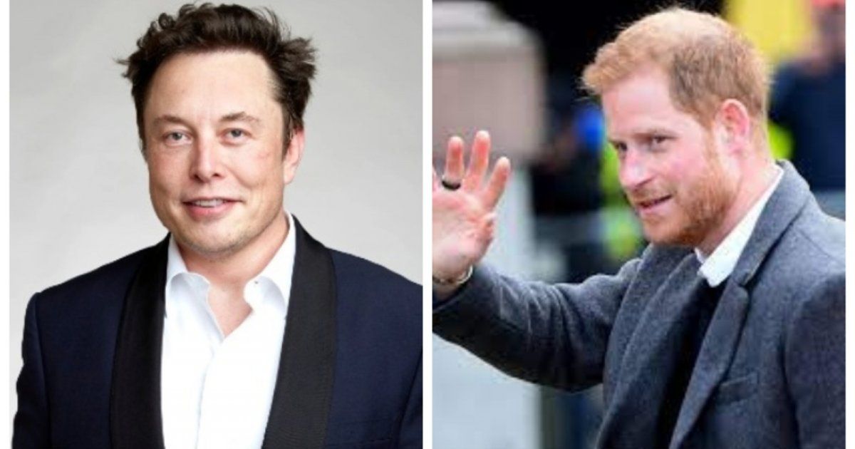 شاهد .. هذا ما يجمع بين الأمير هاري وإيلون ماسك