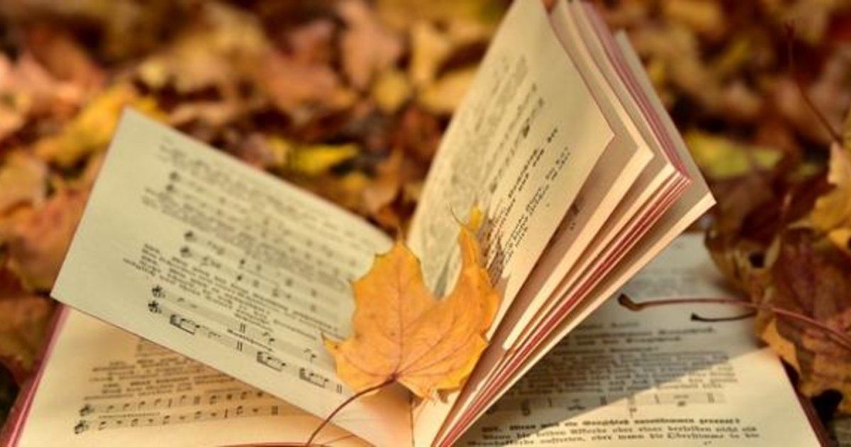 شاهد .. إعتبرني خريفا.. إعتبرني شتاءً أو ربيعا.. لكن إياك وأن تعتبرني "أنا"