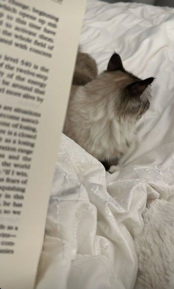 شاهد .. بالصورة- هر ياسمين صبري يحب الإستماع إلى القصص