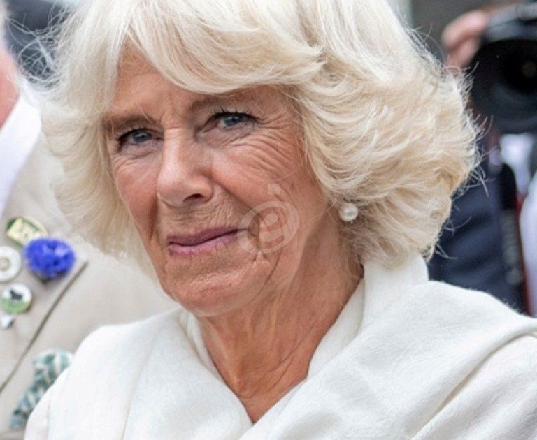 شاهد .. إليكم اللقب المؤذي الذي تطلقة كاميلا باركر بولز على ميغان ماركل