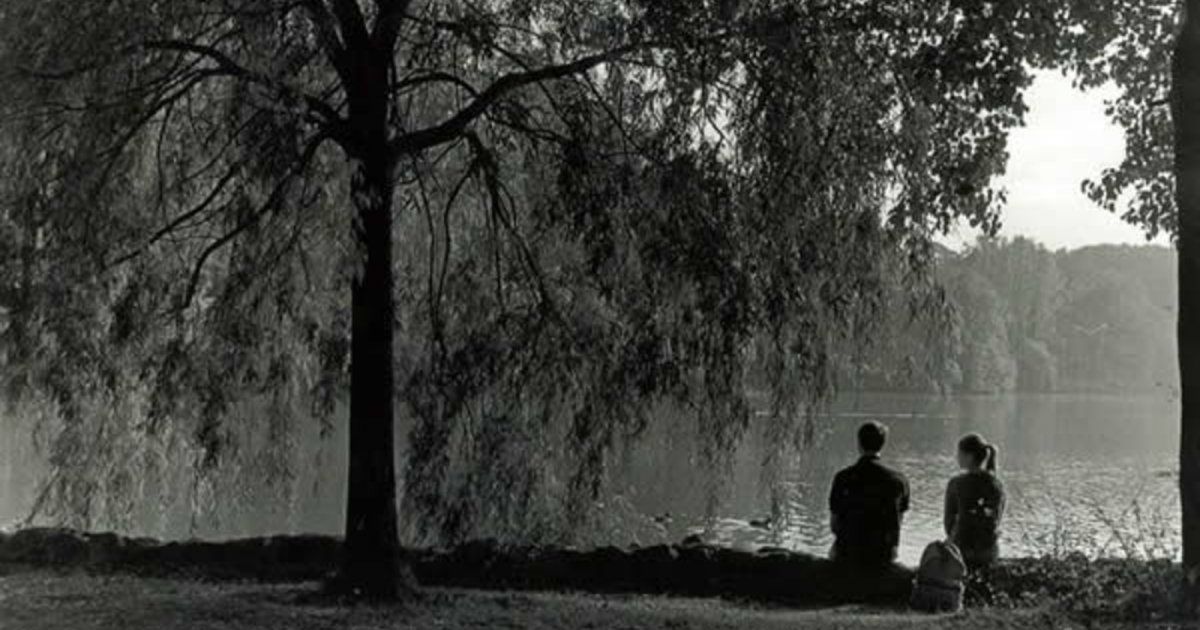 شاهد .. صُلبت هذه المرة دون قيامة.. ومرر يدهُ عليها لدفعها نحو الحياة