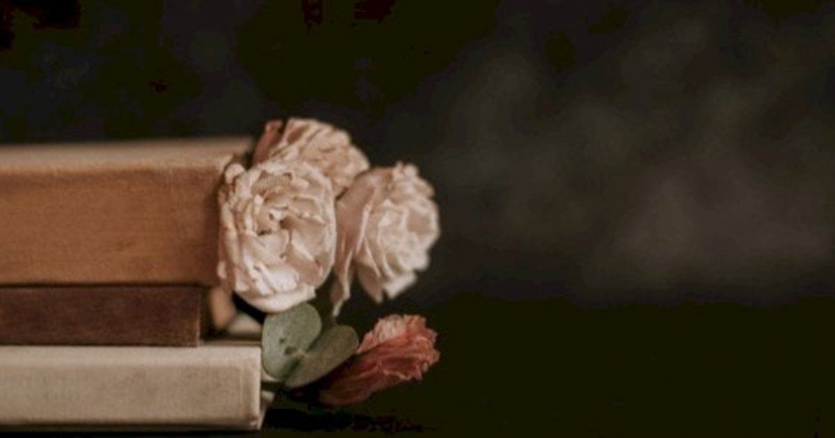 شاهد .. لم تعد قمري ليلا.. ولا شمسي في الصباح