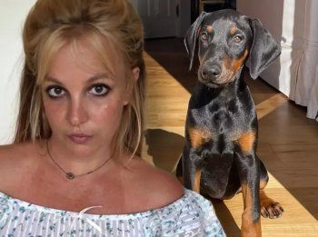 شاهد .. بالصورة - بريتني سبيرز تتلقى إتصال من جمعية مراقبة الحيوانات لهذا السبب