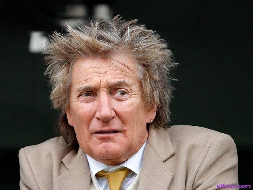 شاهد .. رود ستيوارت يعرض قميصه في مزاد في حدث خيري