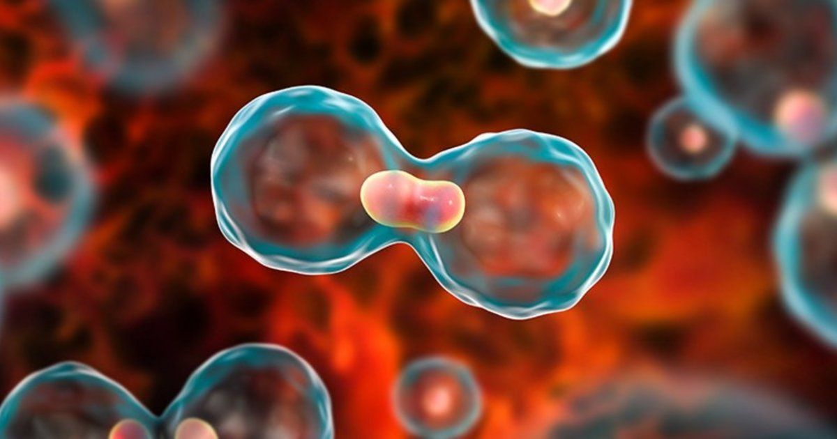 شاهد .. بعد خبر إصابته بالسرطان..نجم شهير برد غير متوقع