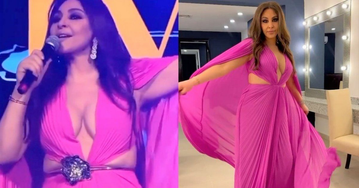 شاهد .. سعر مرتفع لـ فستان إليسا الجريء الذي تألقت به في حفلها بجمهورية الدومينيكان - بالفيديو