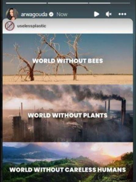 بالذكاء الإصطناعي .. أروي جودة بتوريك شكل الأرض من غير البشر