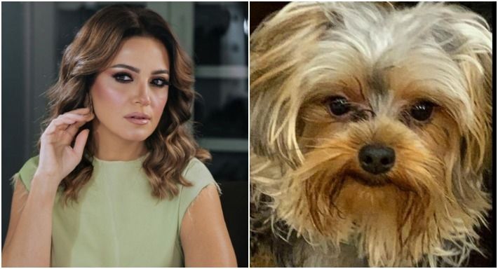 ريهام عبد الغفور تنعي كلبها : كنت صاحبي ويحس بيا