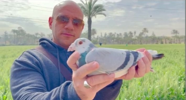 احمد مكي ملك الحمام علي مستوي العالم