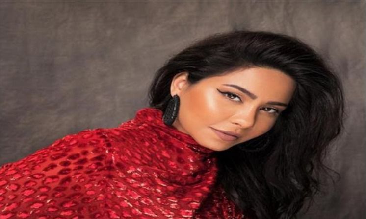 مدير أعمال شيرين الجديد بدأ يشتغل