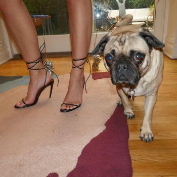 شاهد .. بالصور - إميلي راتاجكوسكي تتألق بفستان جلدي قصير بمناسبة عيد ميلادها